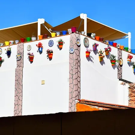 Jara ! Apartment