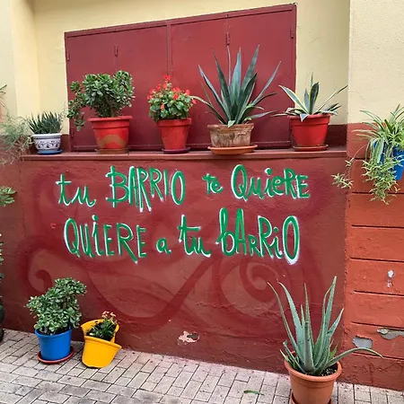 Jara ! * Malaga